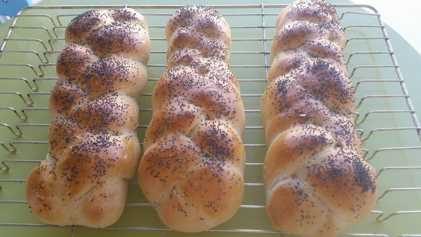 Kortreist lykke i Risør