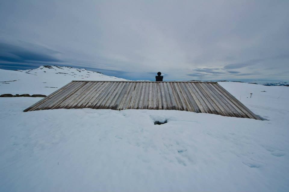Tjørnbrotbu, vinterstid