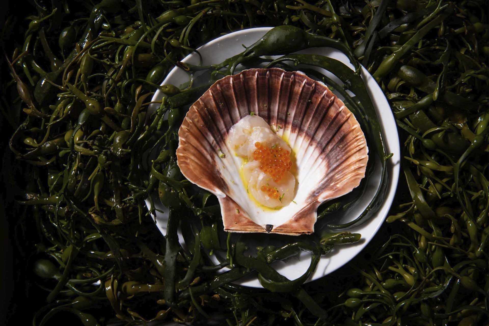 European Region of Gastronomy