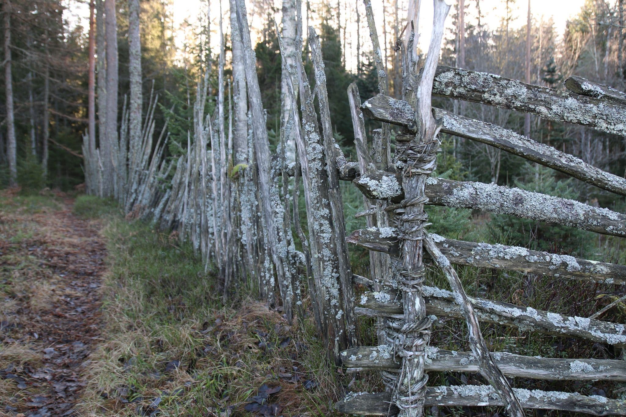 Hylliåsen Spydeberg