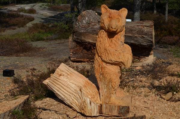 Bjørneløypa i Fredrikstad
